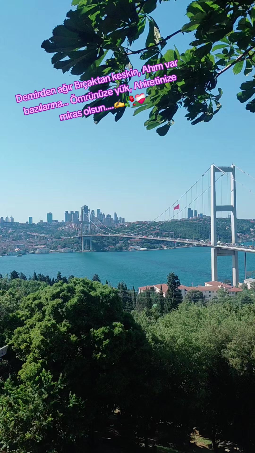 @LAZKizi❤️61💙53💚💙⚜️⚜️