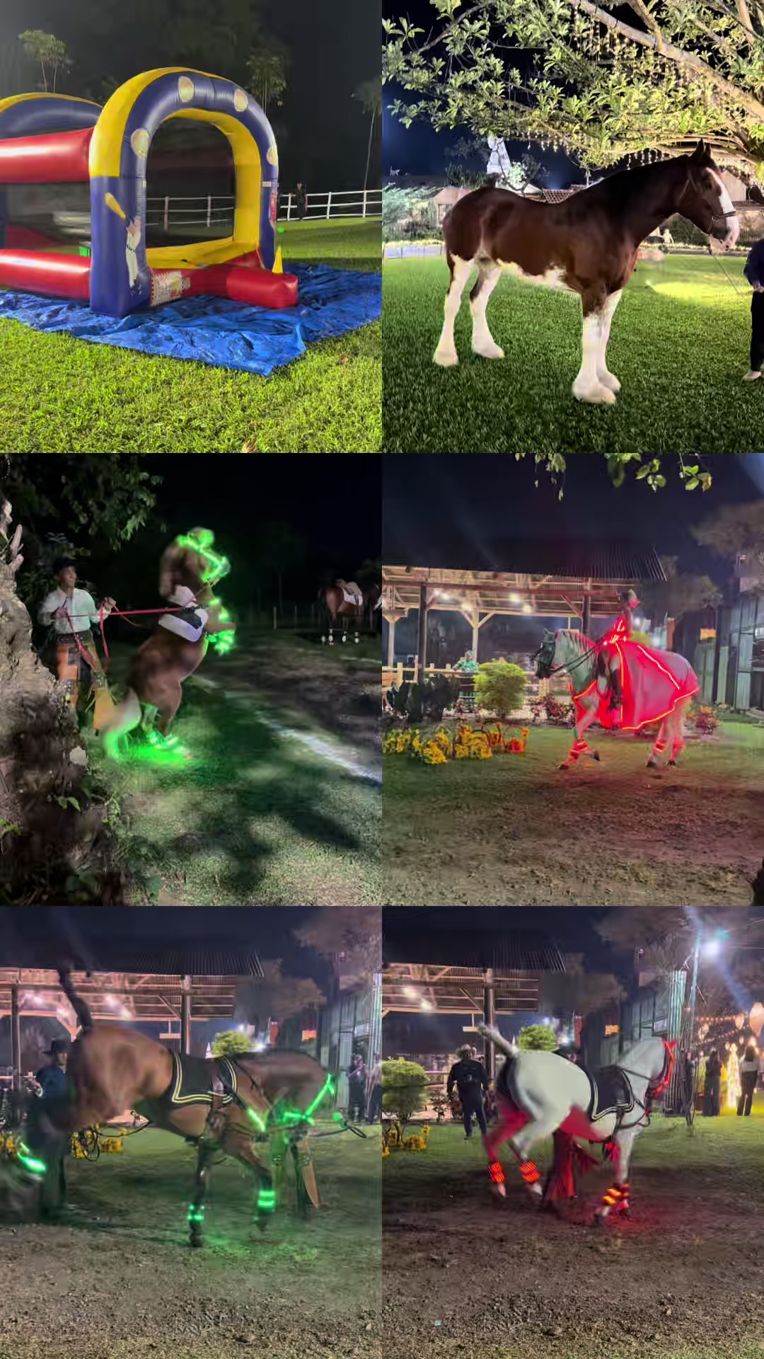 @Jumping Time®️