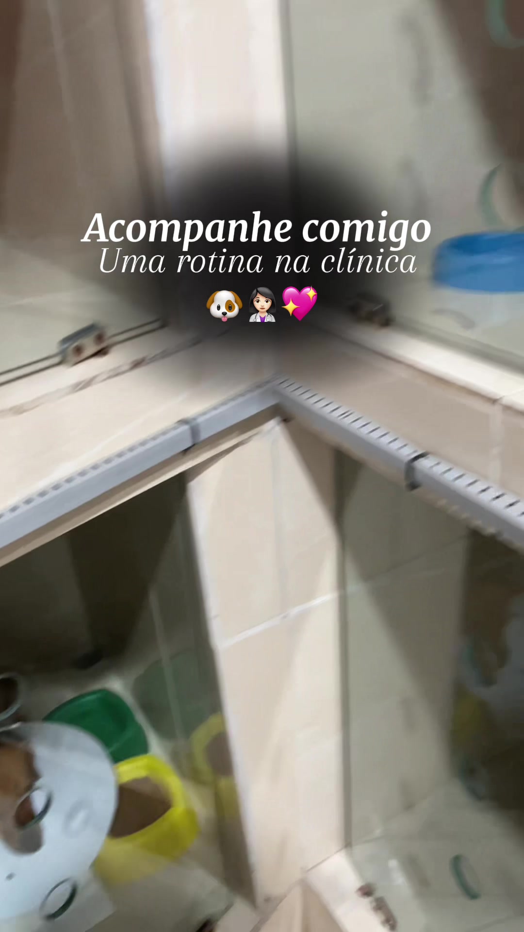 @Yasmin Aguiar