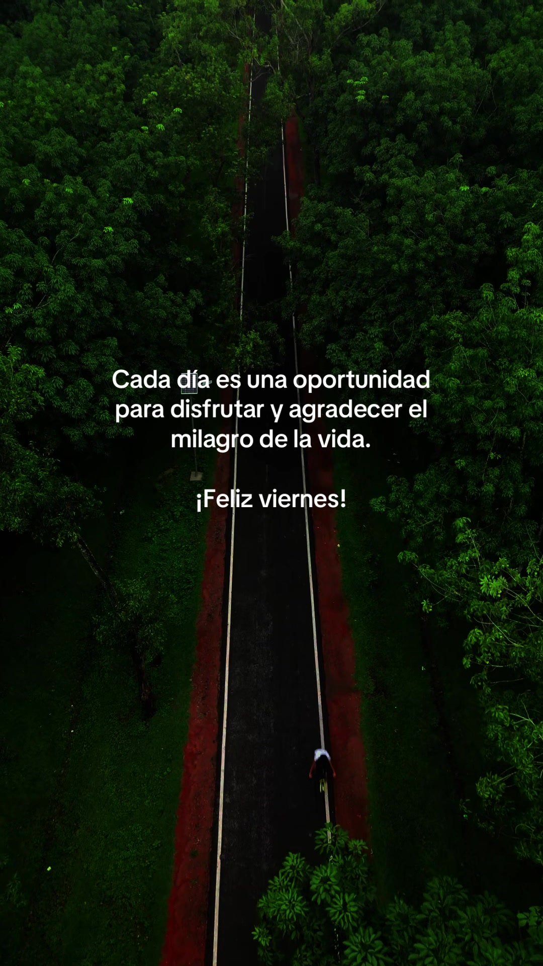 @thaniaSayegh💫frases
