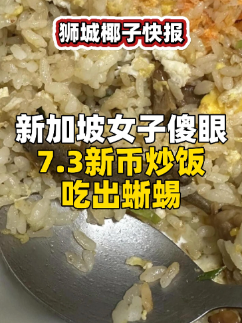 @新加坡狮城椰子