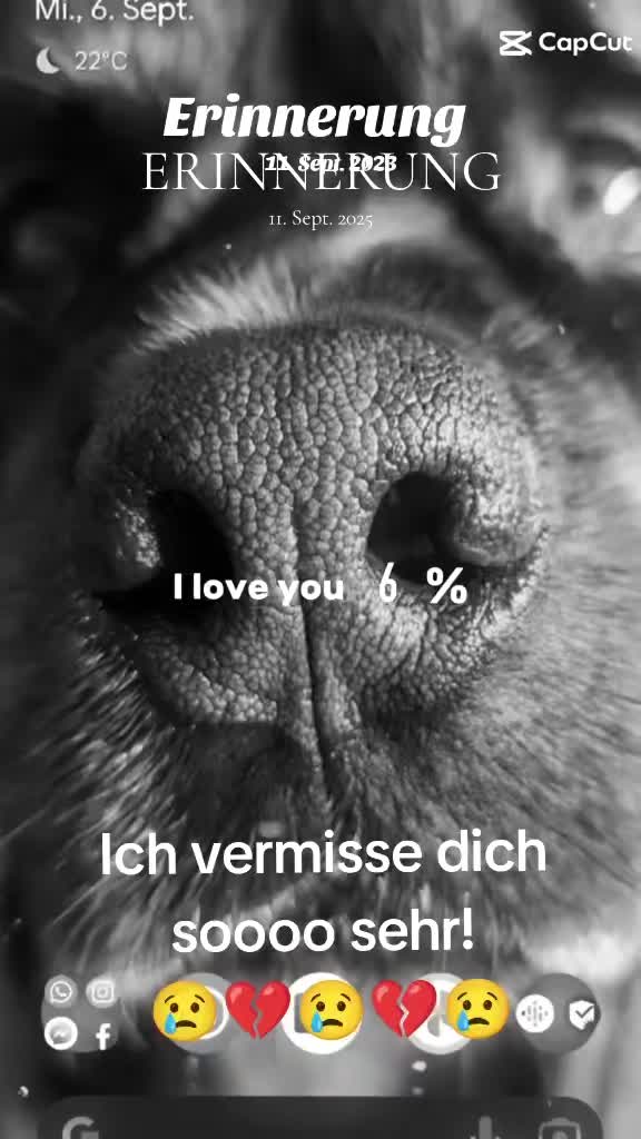 @Nicole❤️Schröder🖤Kowalski ❤️