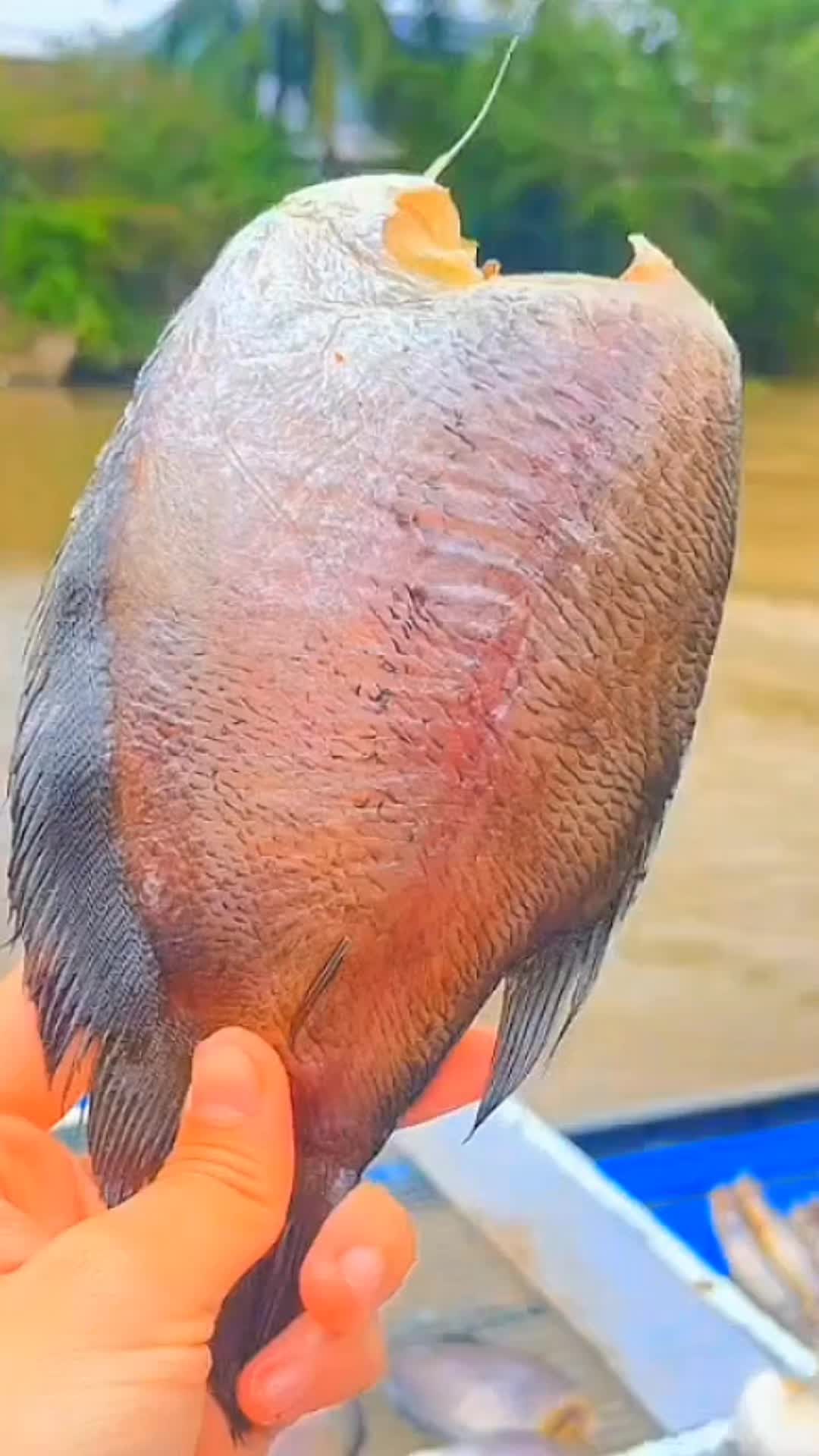 @Quốc Kh&aacute;nh
