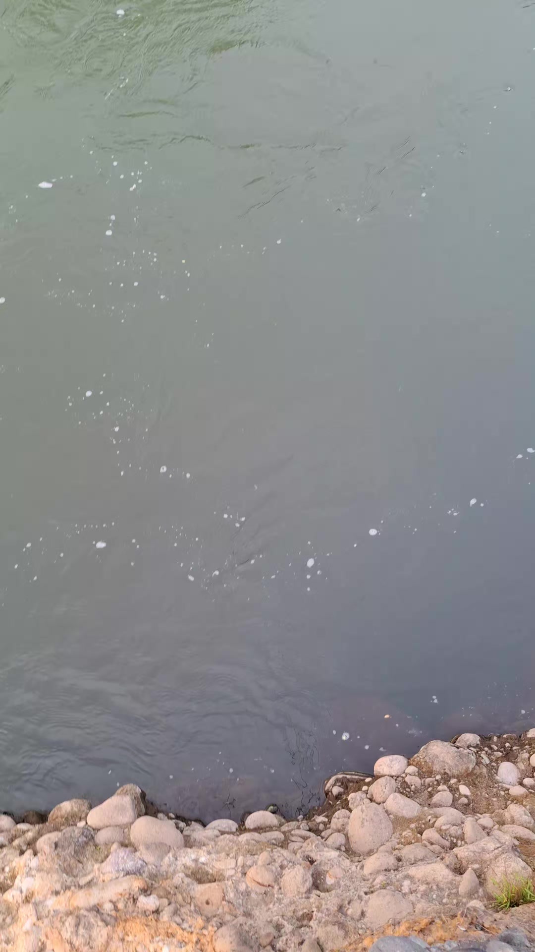 @Gasle Fishing