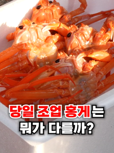 @싱싱헌터스