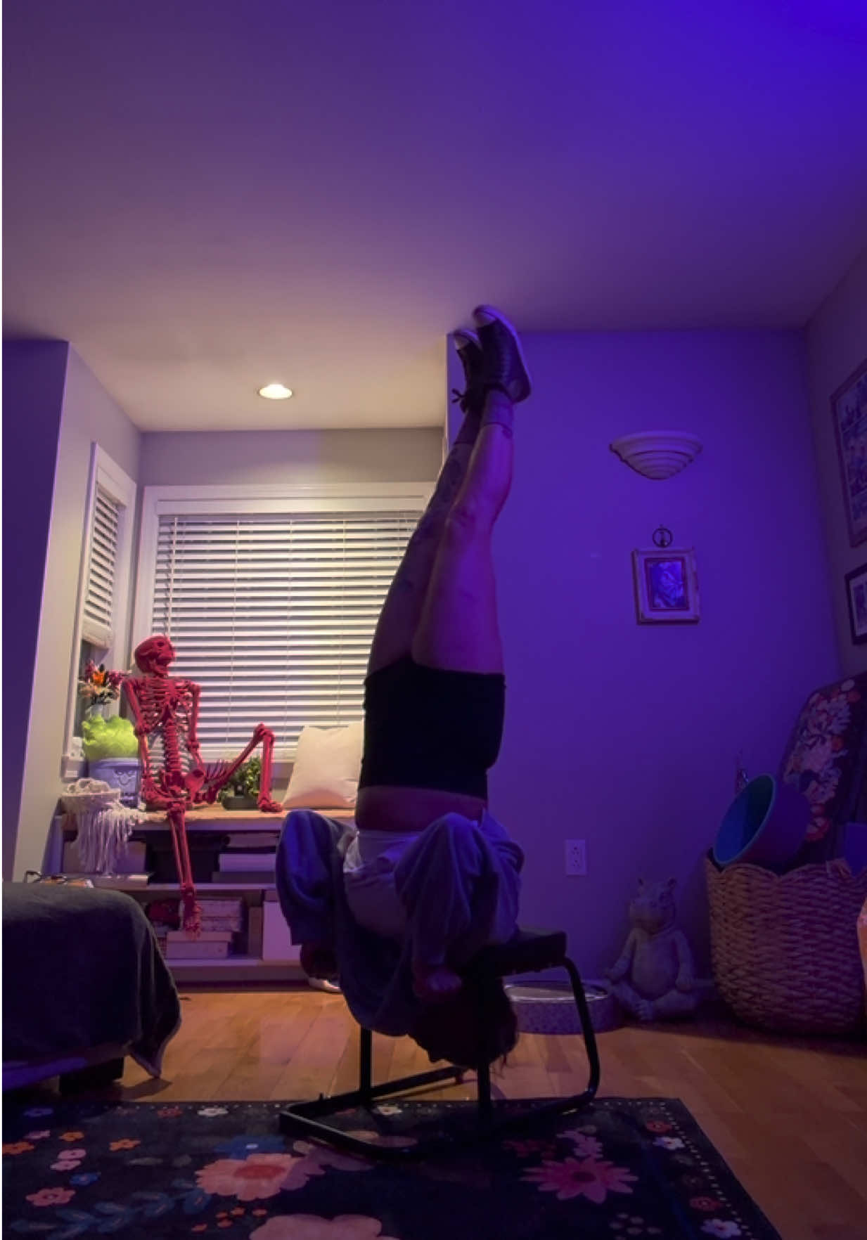 @gardengirl8440