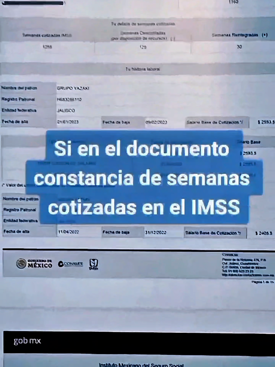 @CESAR SALDIVAR ASESOR