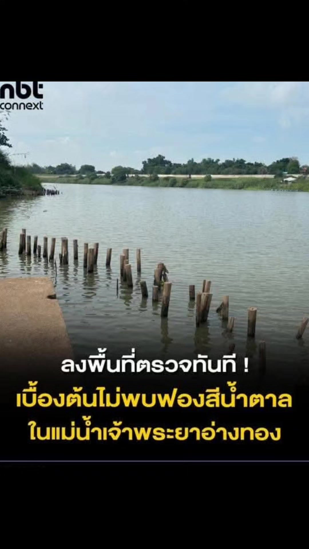 @° หมานิ้ง °