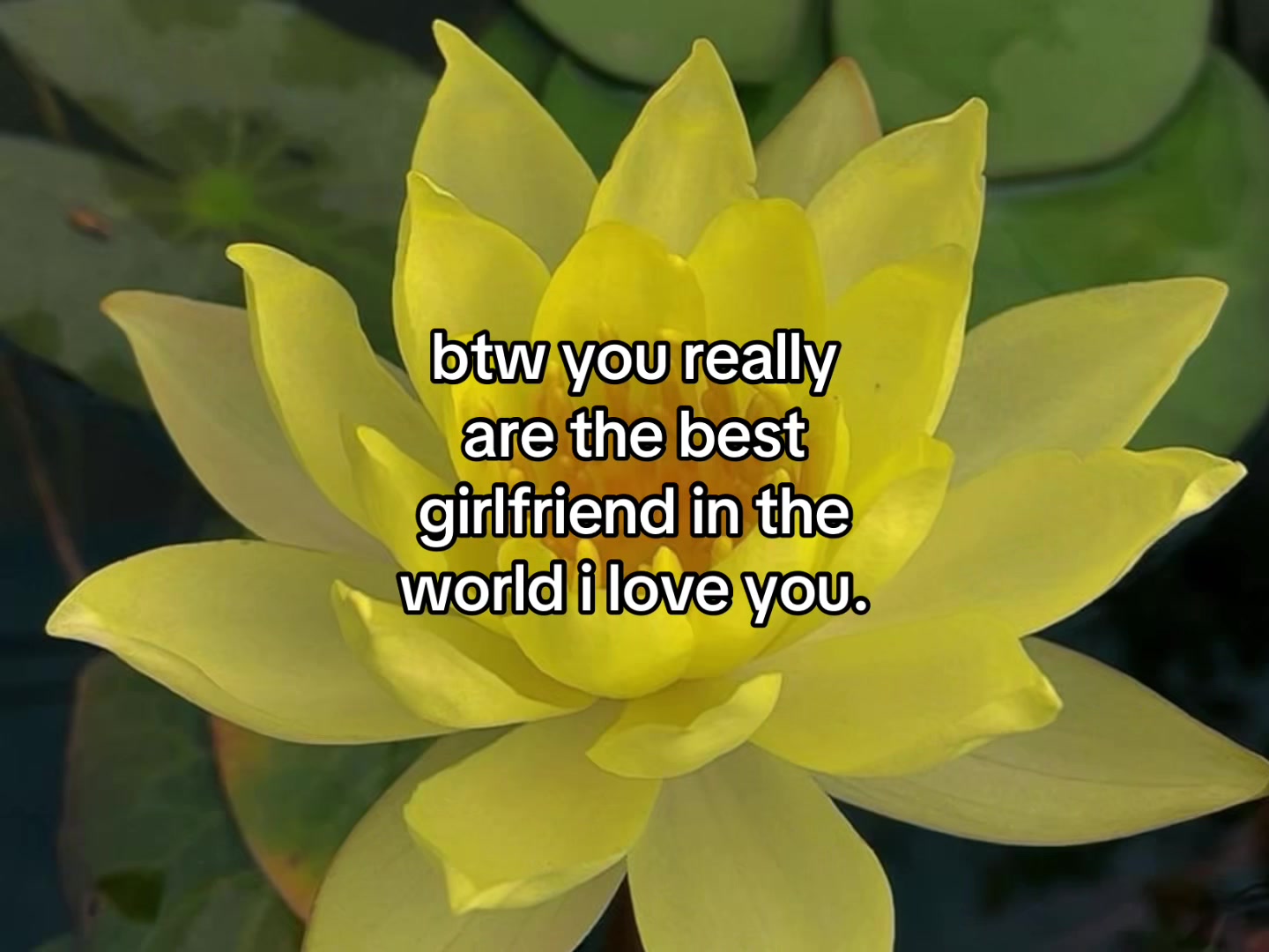 @flowercorrre