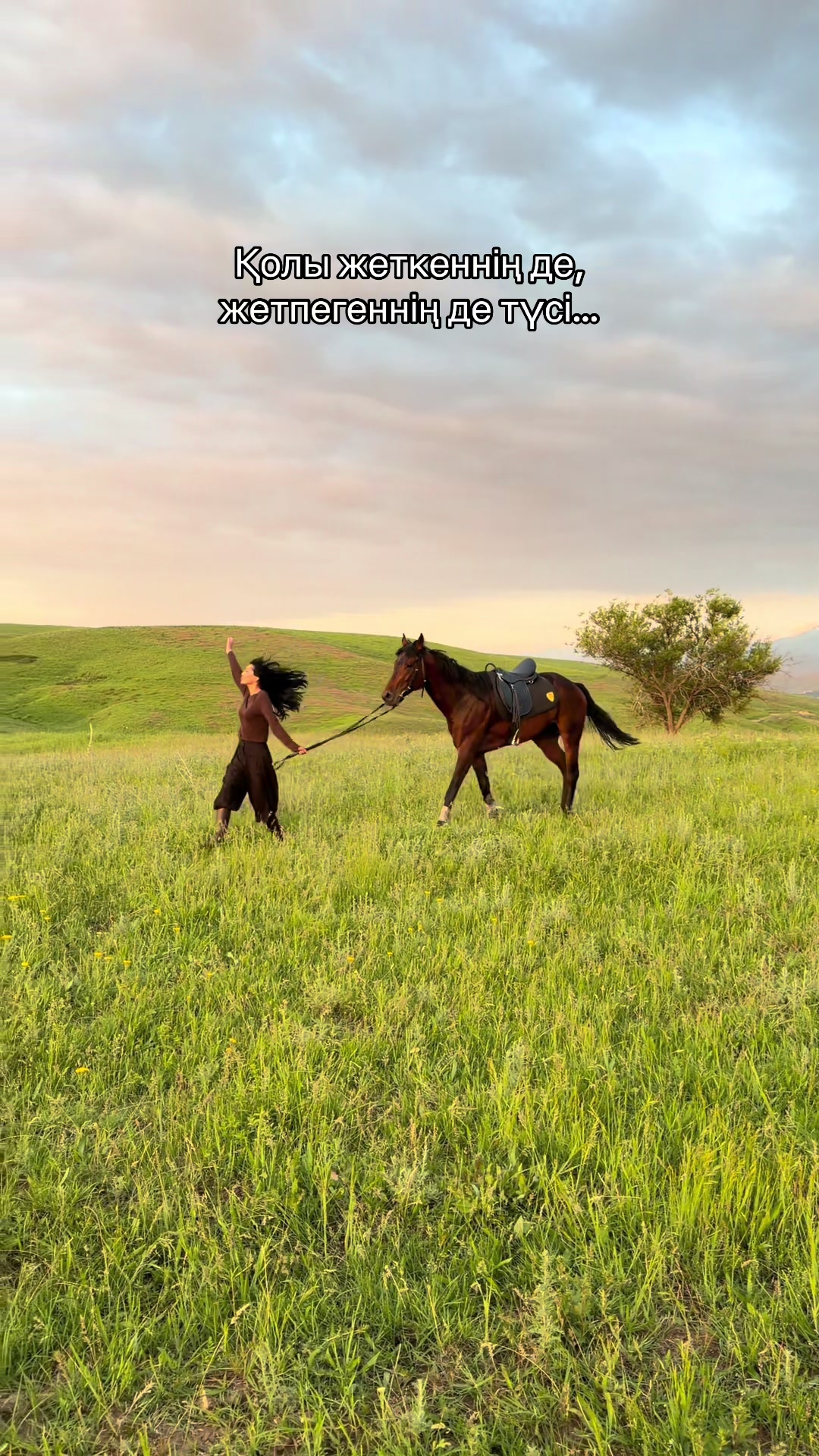 @NAZEKA🐎