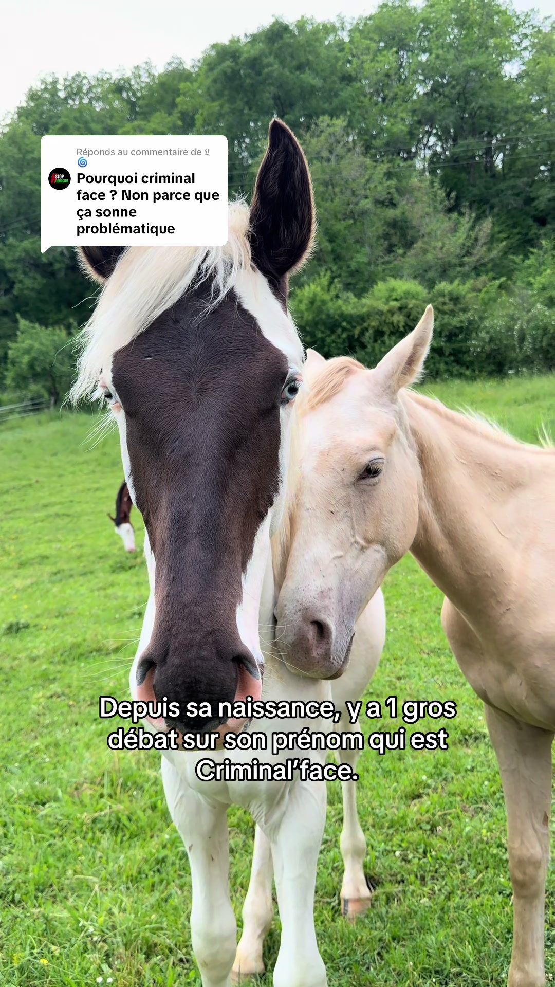 @Mathilde & ses animaux🌼