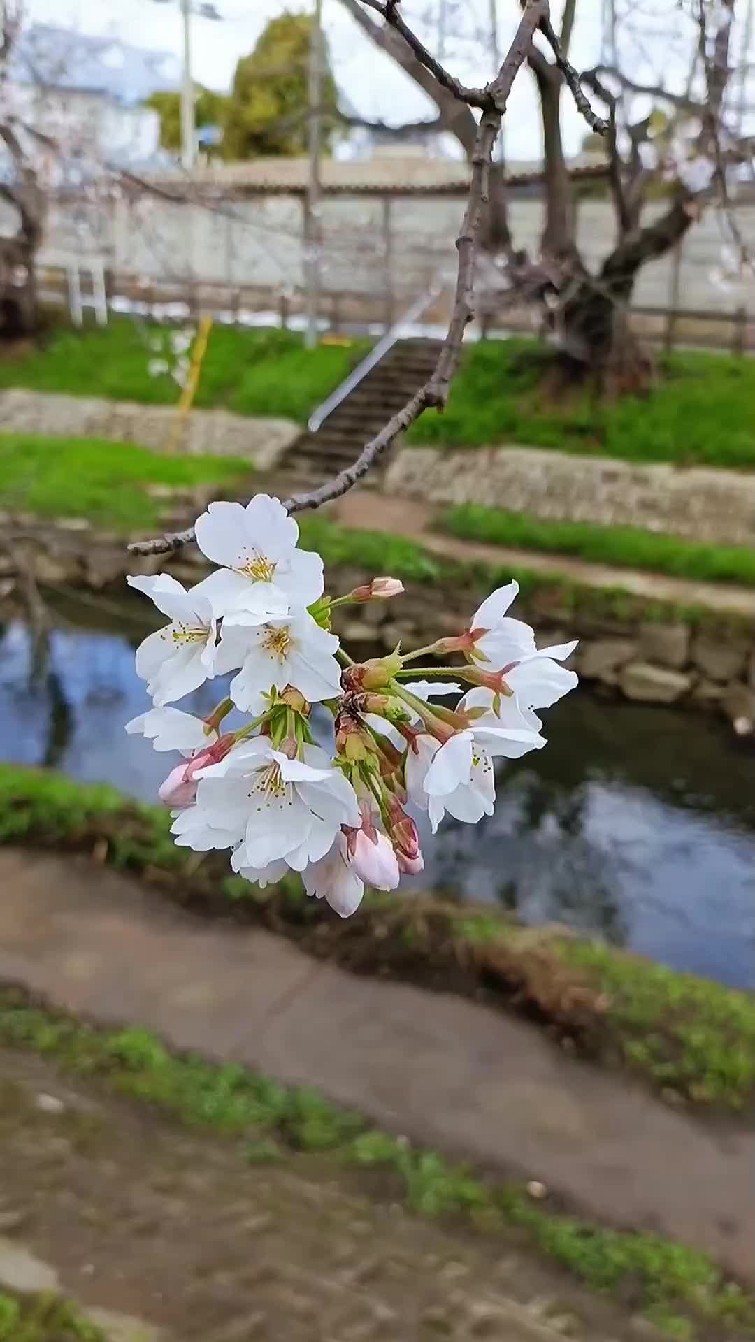 @âšðžç«å€åðžâš