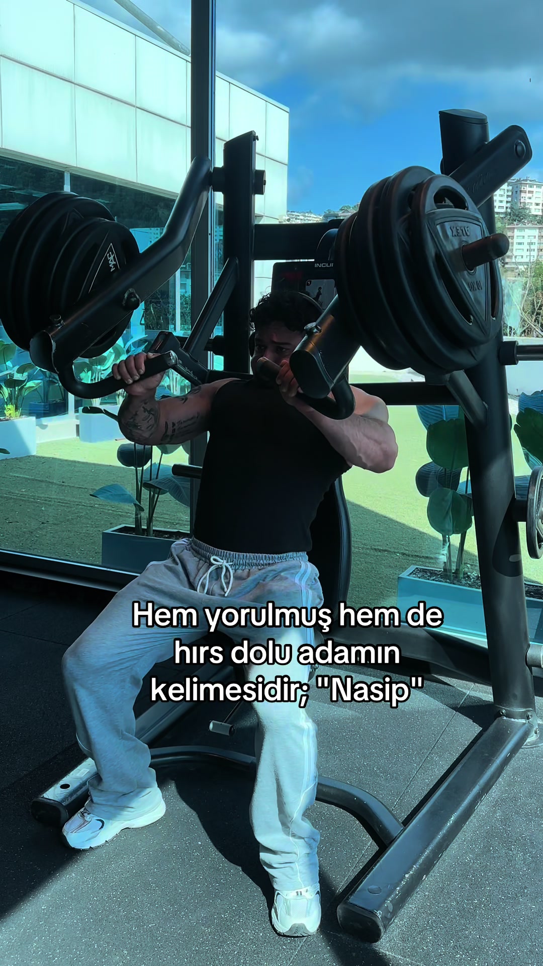 @ifbbpro_mr.olympia