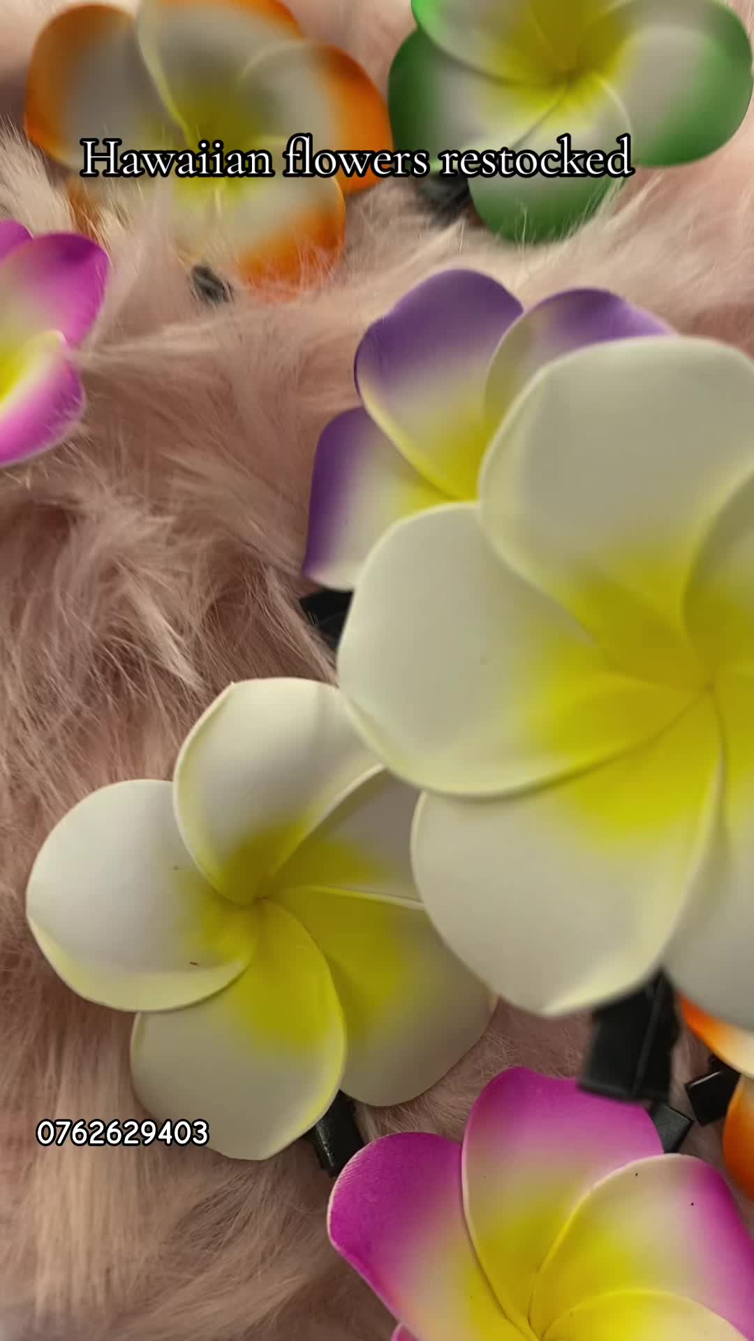 @macaylatrust