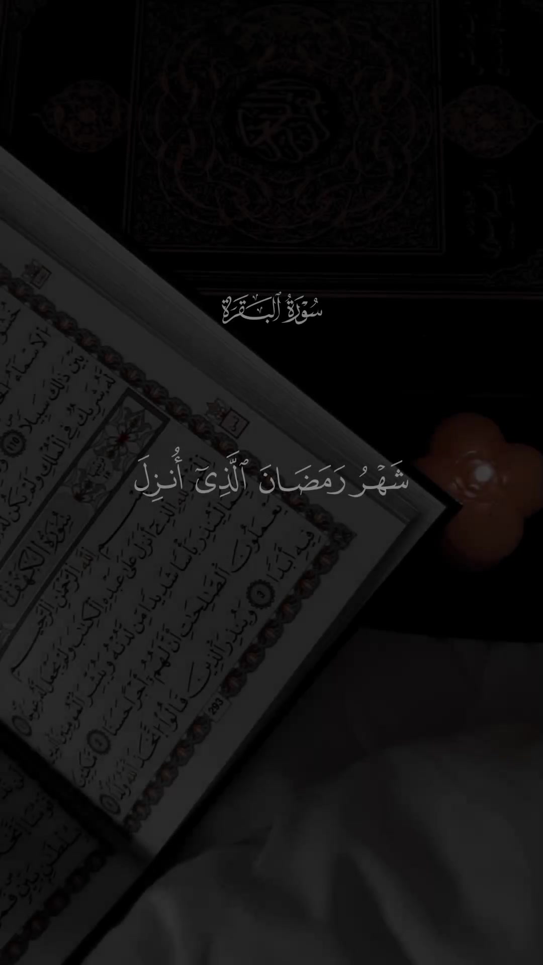 @😇 Jisan 😇