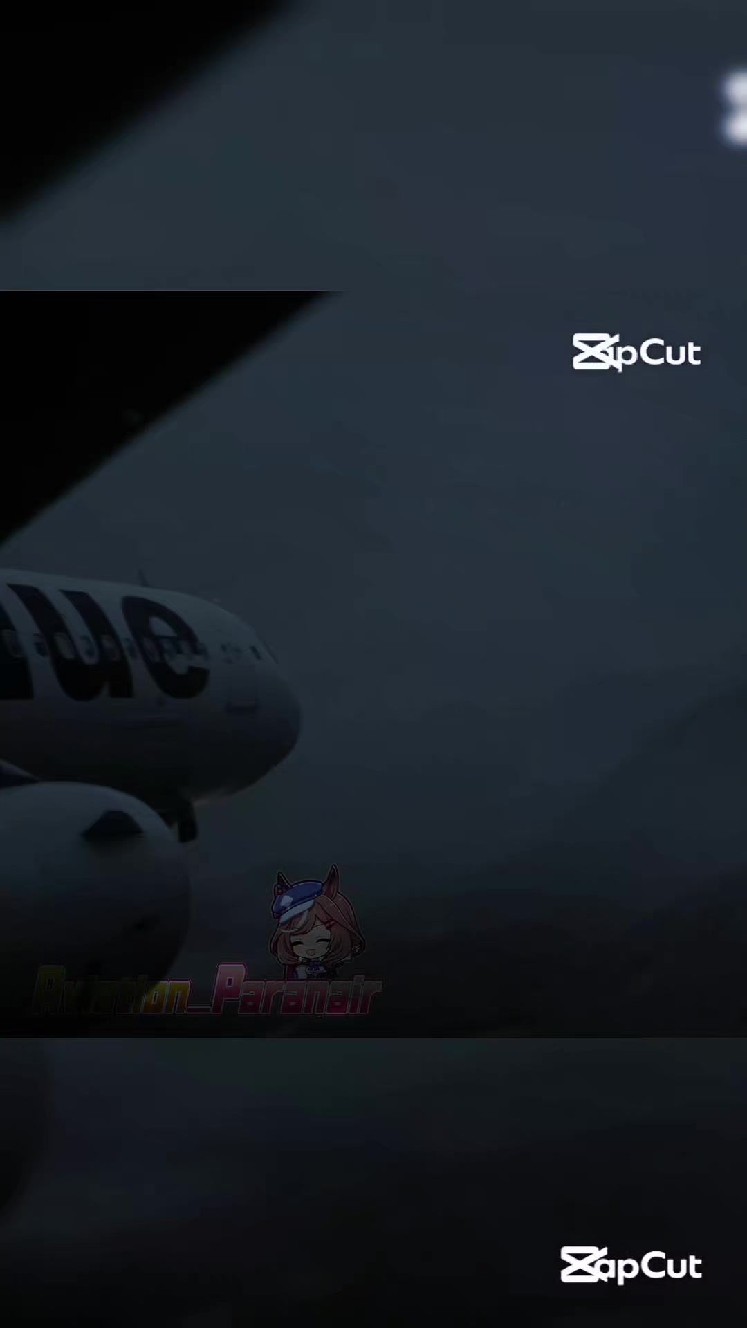 @Aviation_Paranair🇵🇾