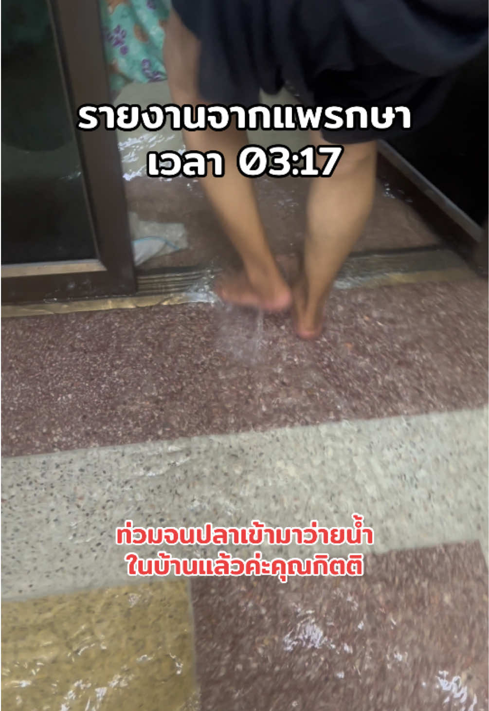@แม่พาไปเจอนี่ (Journey)