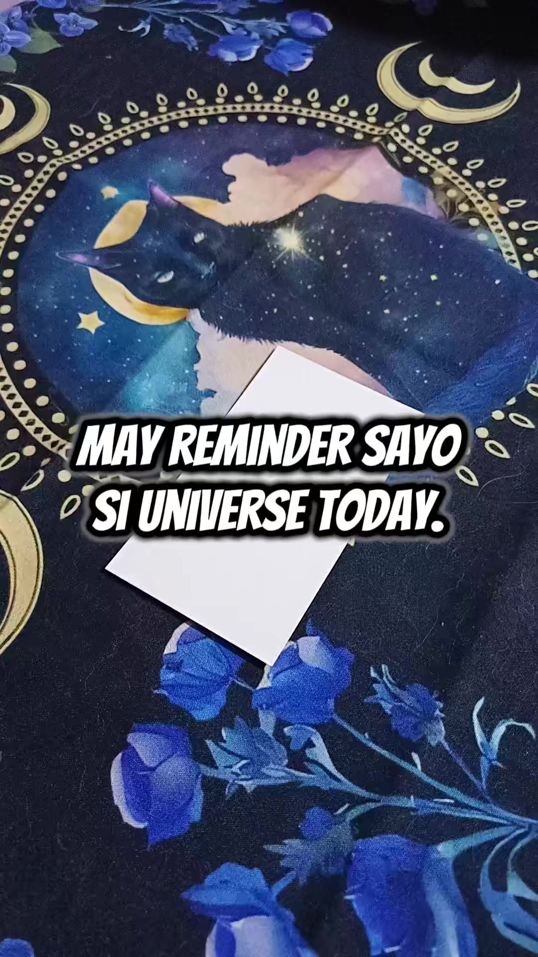 @Marie Tarot Reader