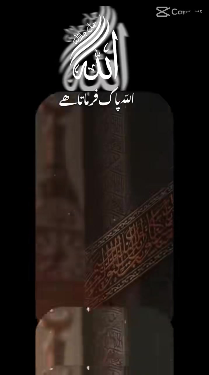 @javed shaikh