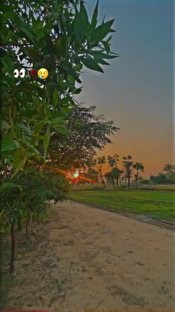 @️ mehar majid 55/4r🤼🤼♂️