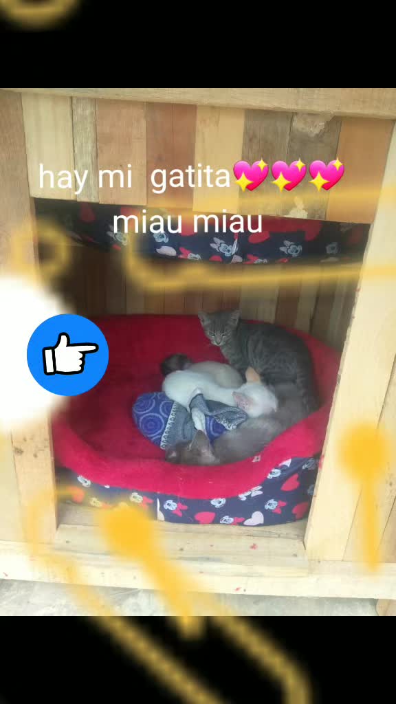 @Dylan Andr&eacute; S.A