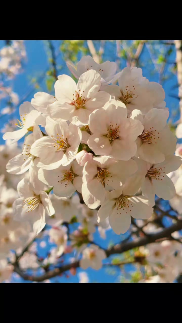 @오기요기