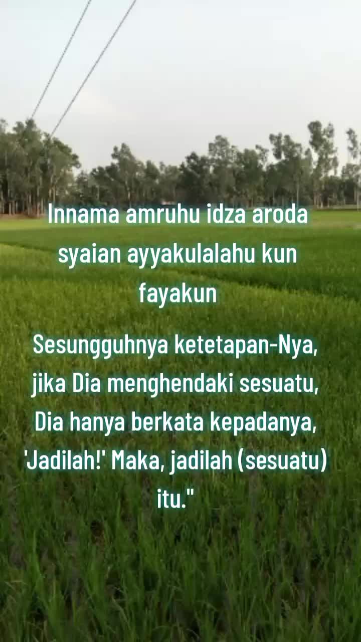 @عالم ميستري