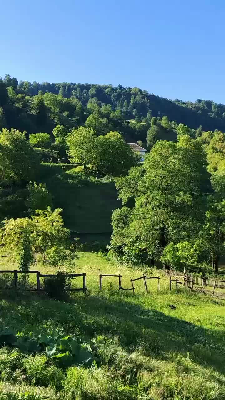 @❤️❤️son ürek❤️❤️
