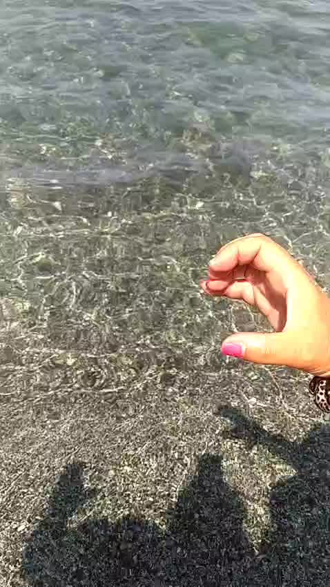 @miriamperticaroli