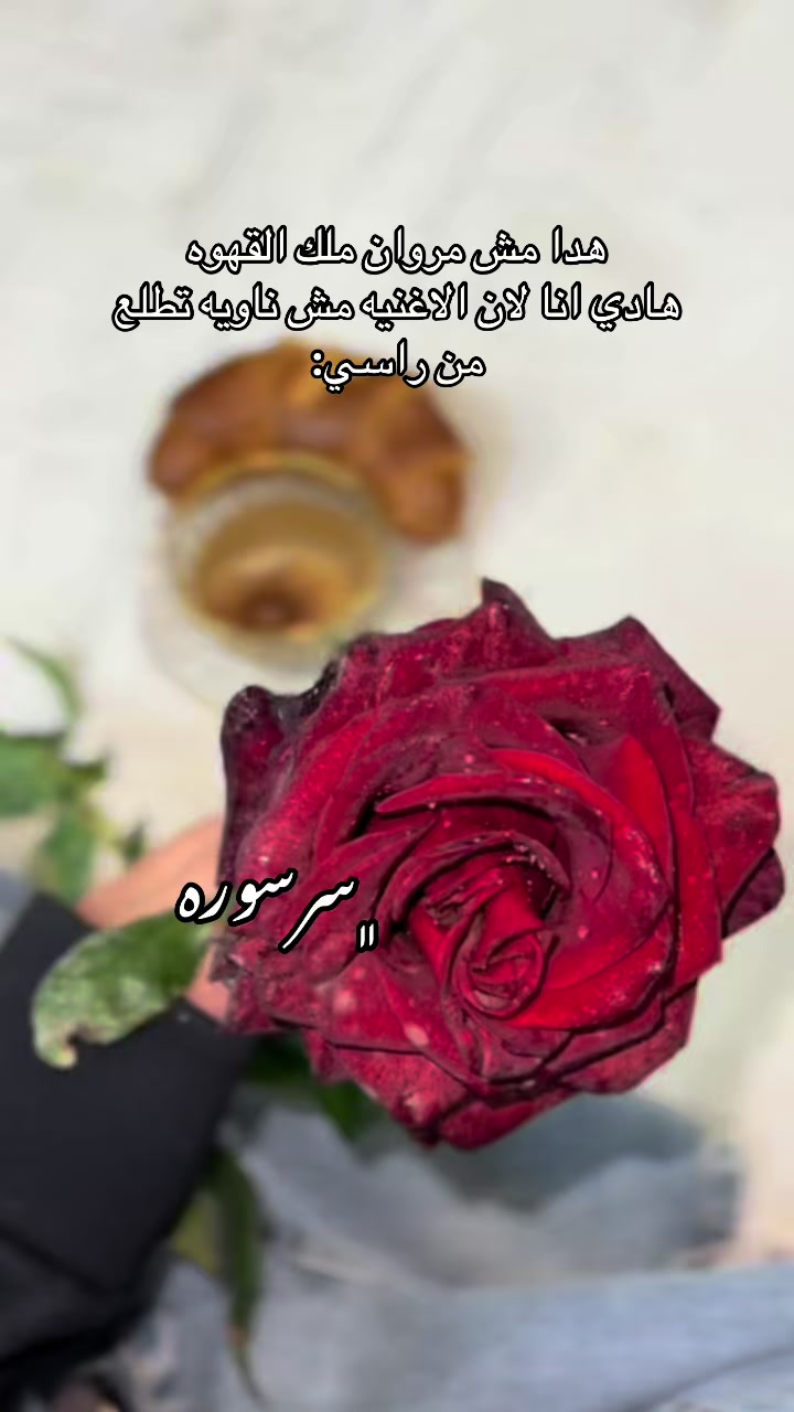 @﮼سَرْسورَه🎀✨