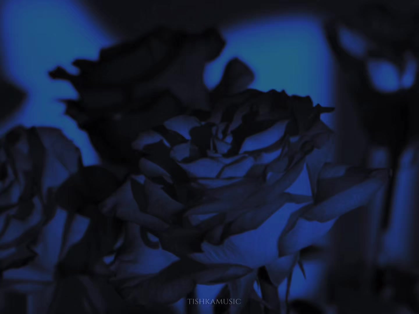 @★ 𝒕𝒊𝒔𝒉𝒌𝒂