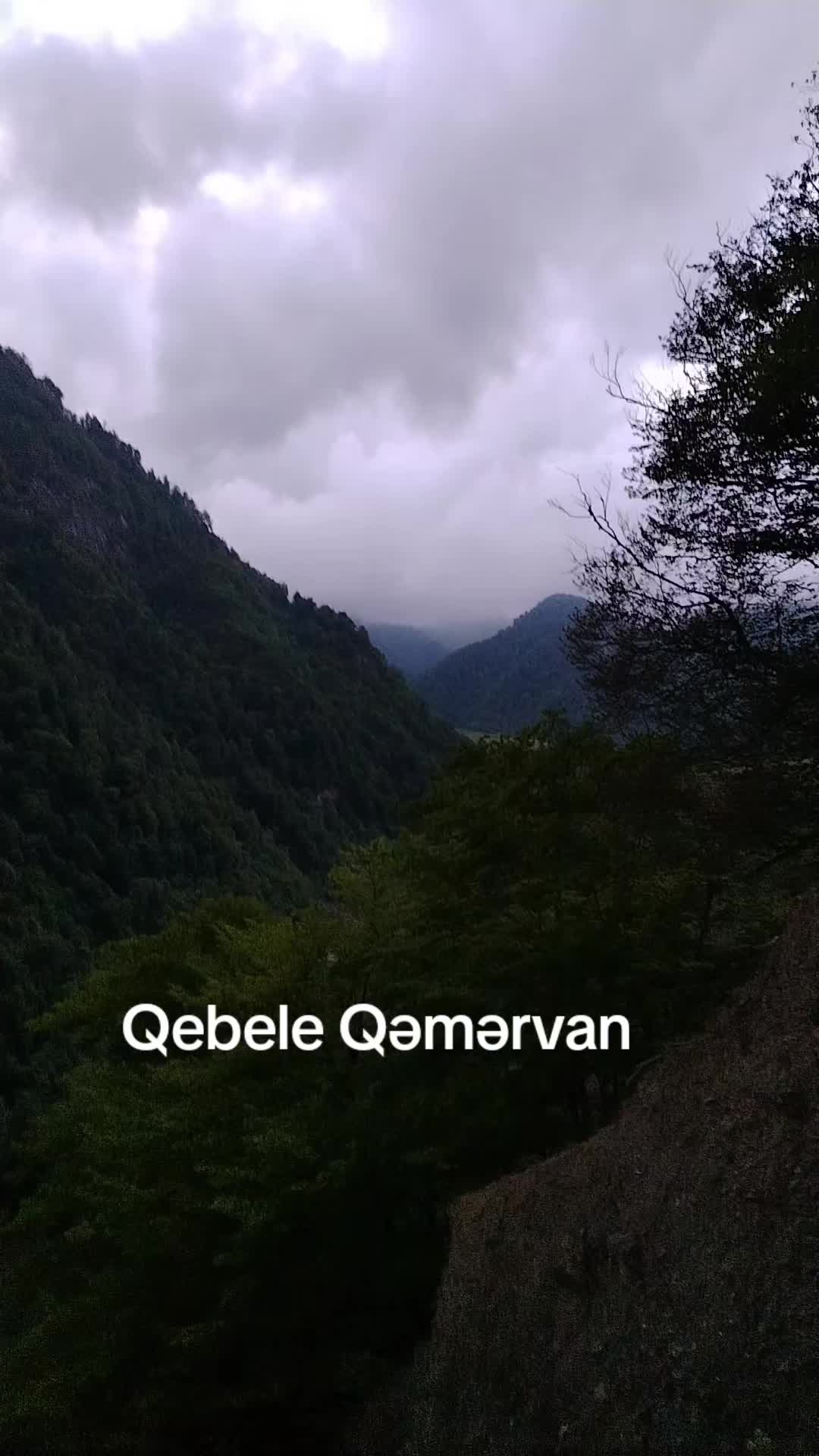 @Qebele  Vendam.036