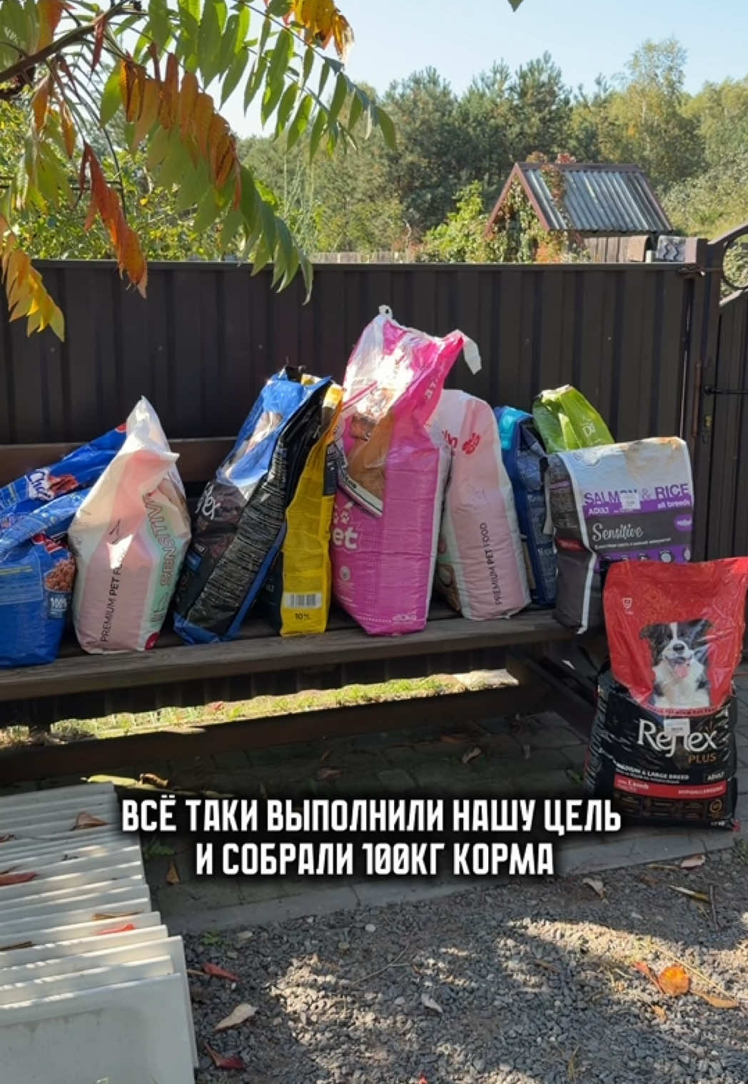 @Вася Шафиров