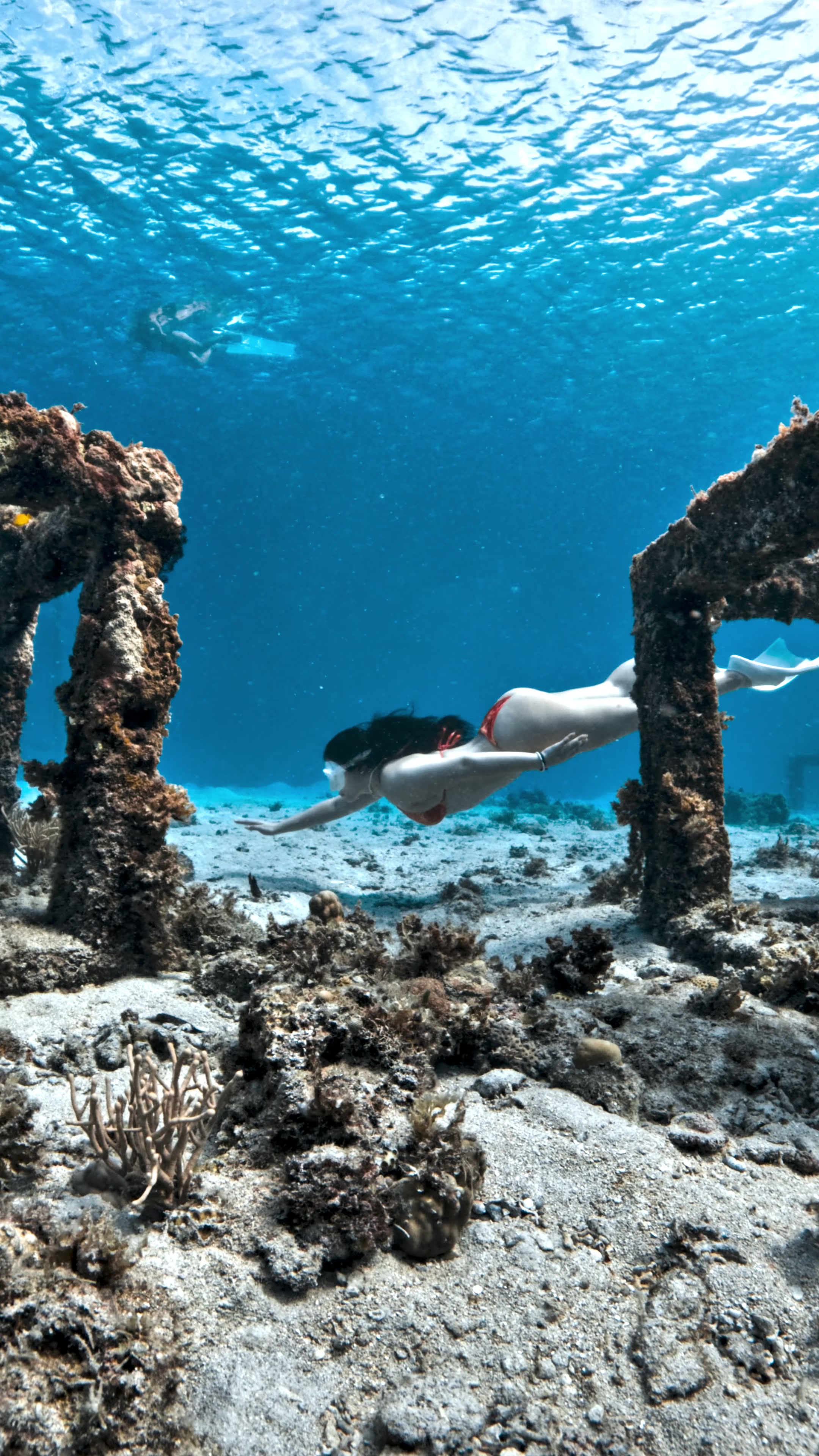 @divewith_eyJ