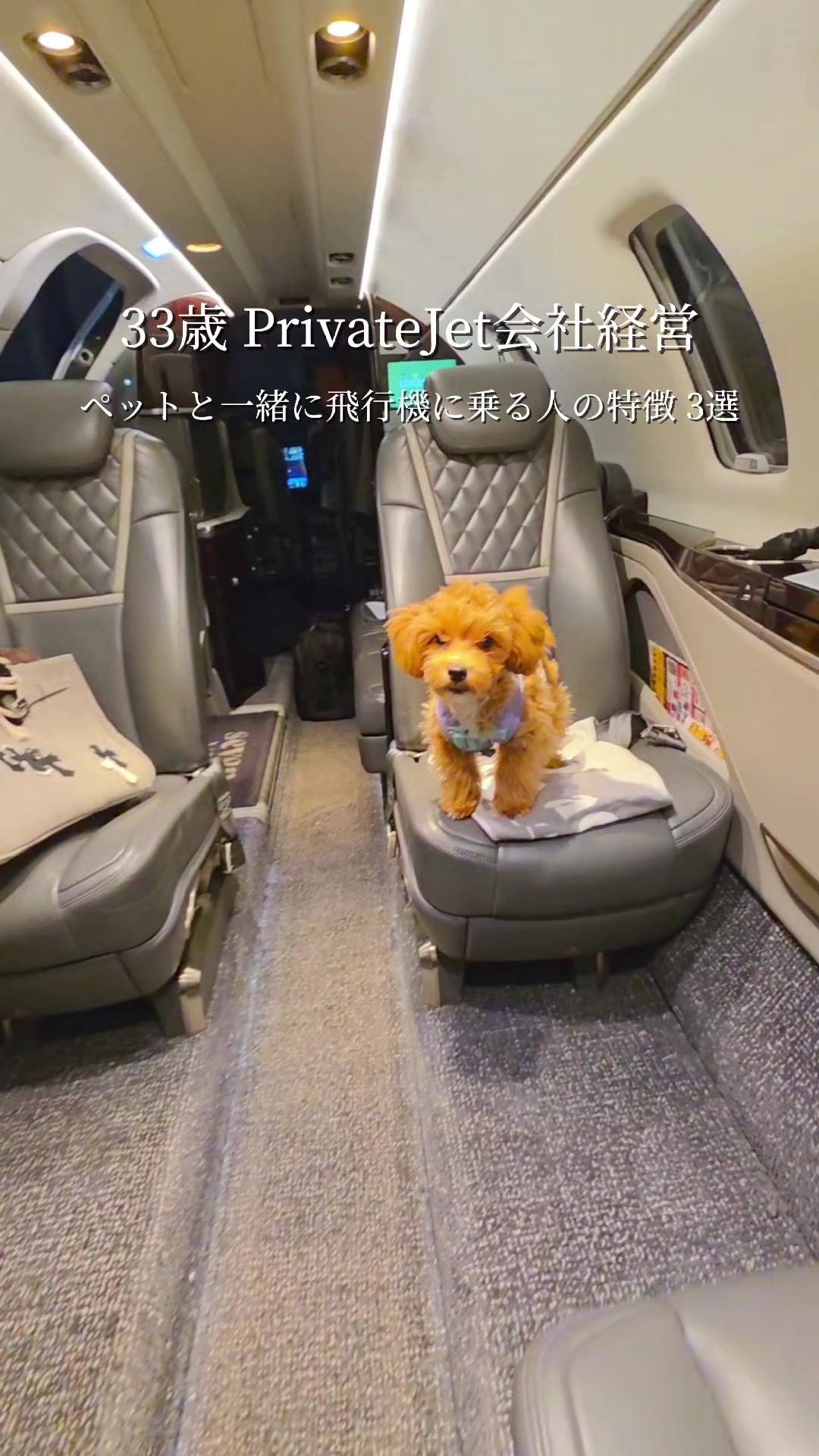 @プライベートジェット会社CEO【ARIAir アリエア】