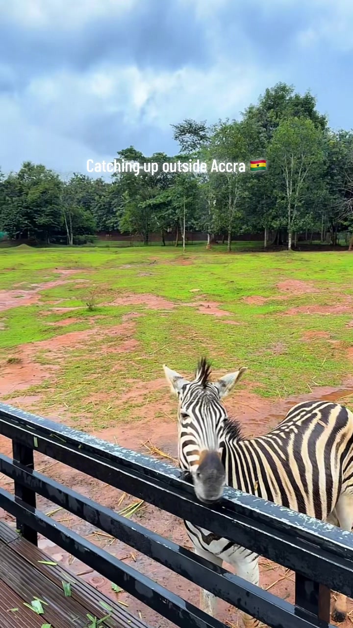 @fafadiamond🦄