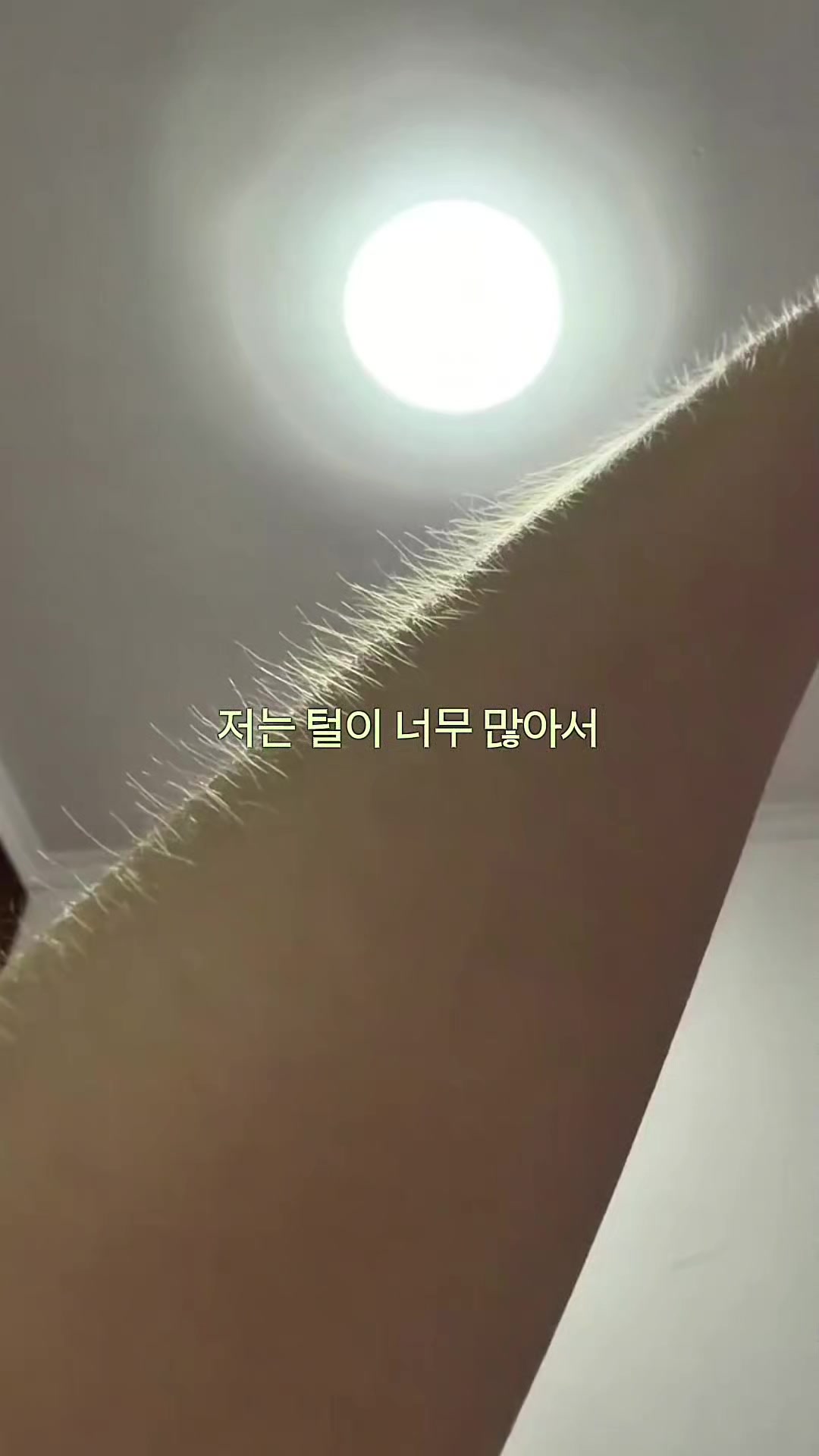 @돌고래가고래