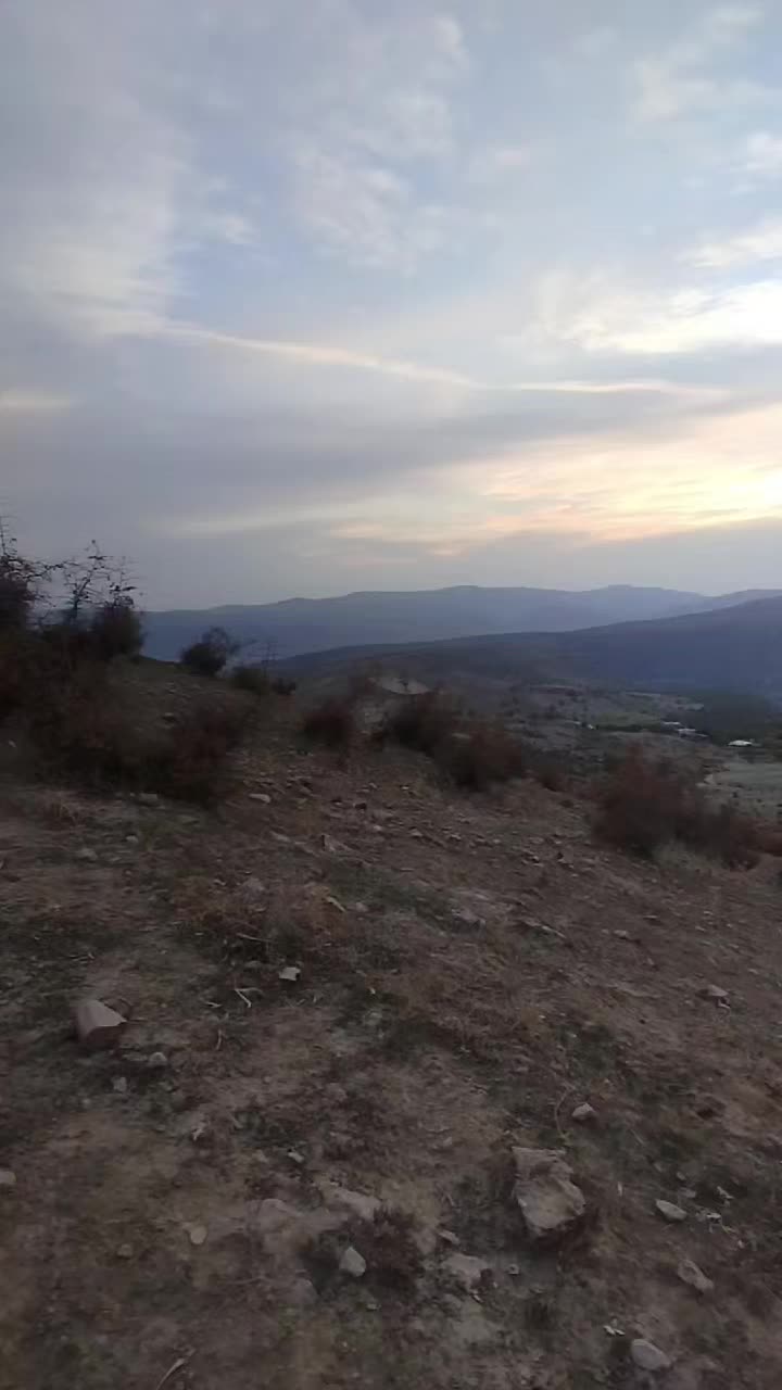 @MUŞLU๛BIRHAN