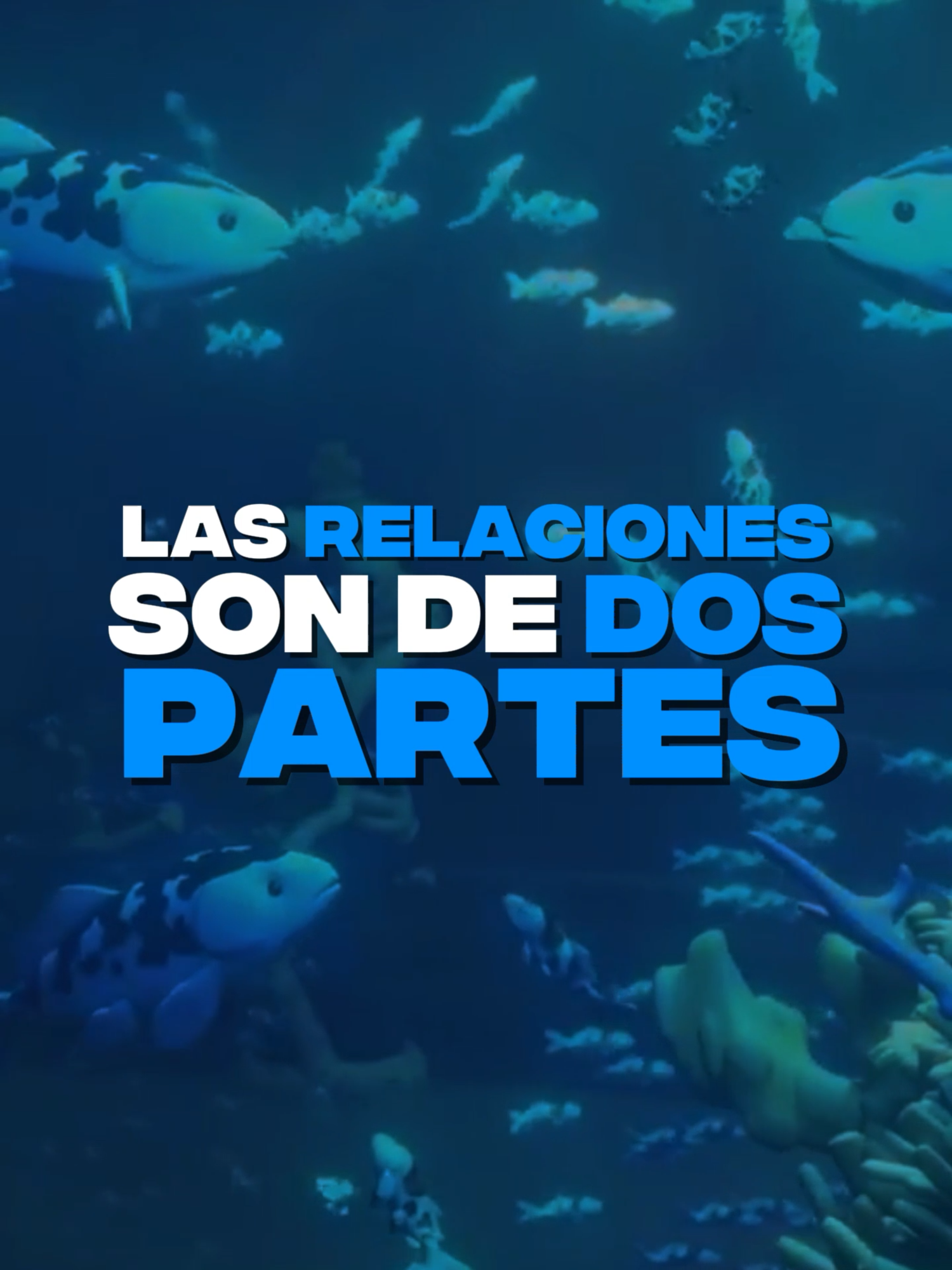 @Sentidos de la Vida