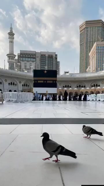 @Shahjad Shahjad