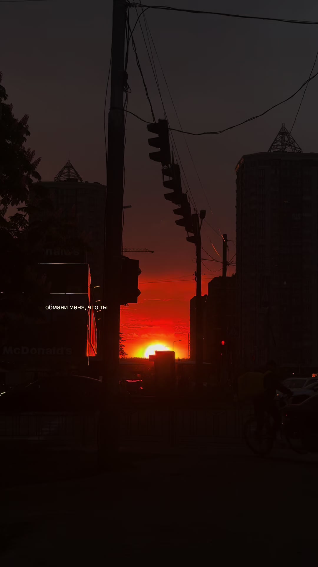 @сейкора