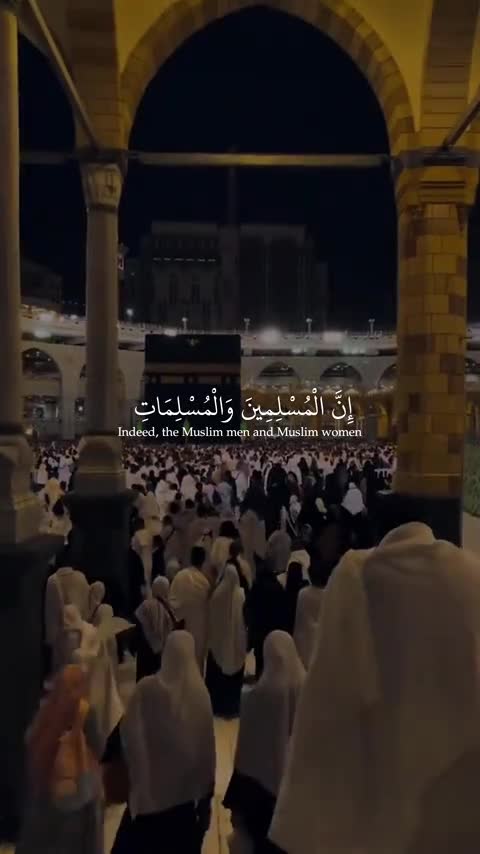@مسلسل المنظمة 🤍💚