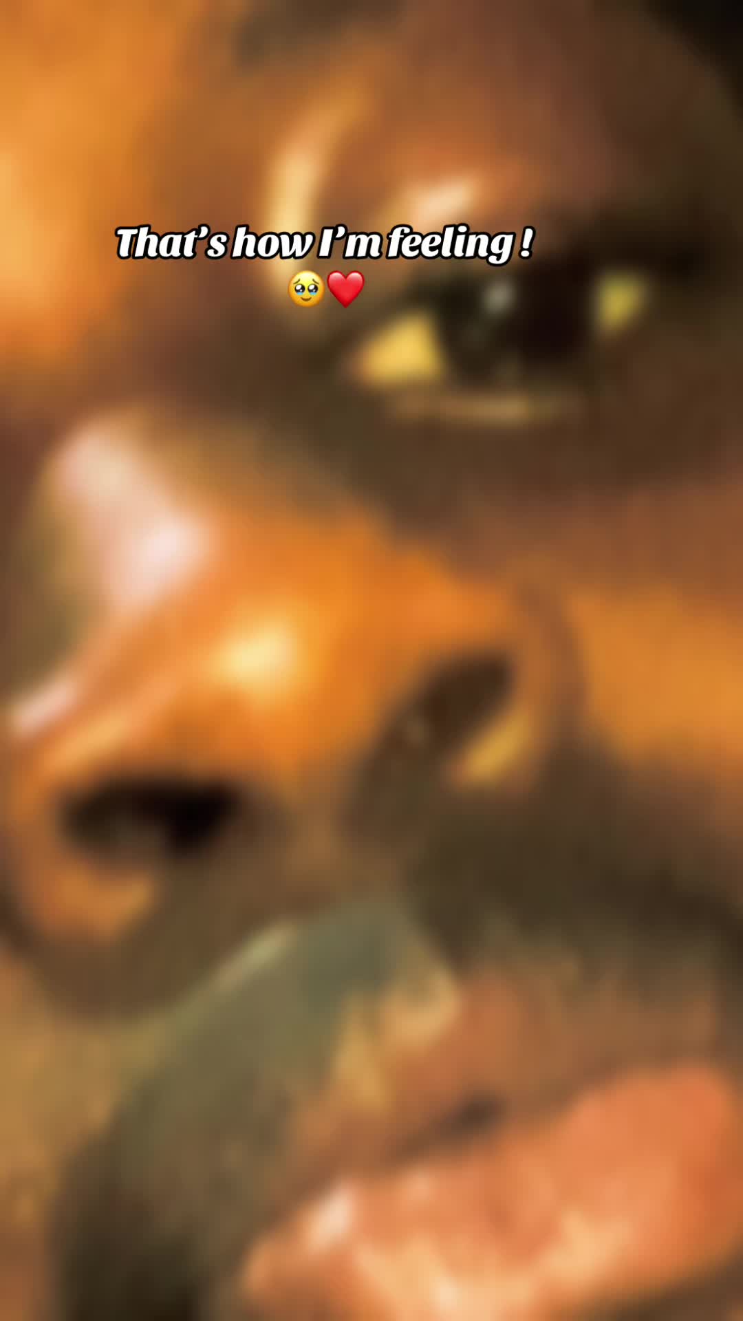 @user68986999214
