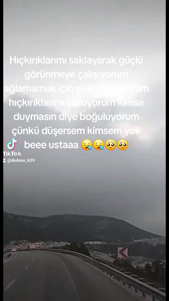 @⚜️wolf usta ⚜️