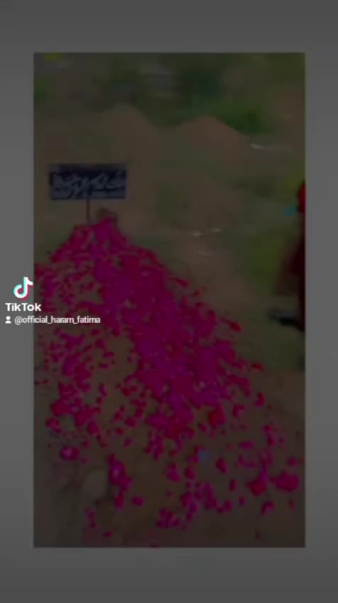 @malikzaman9794292