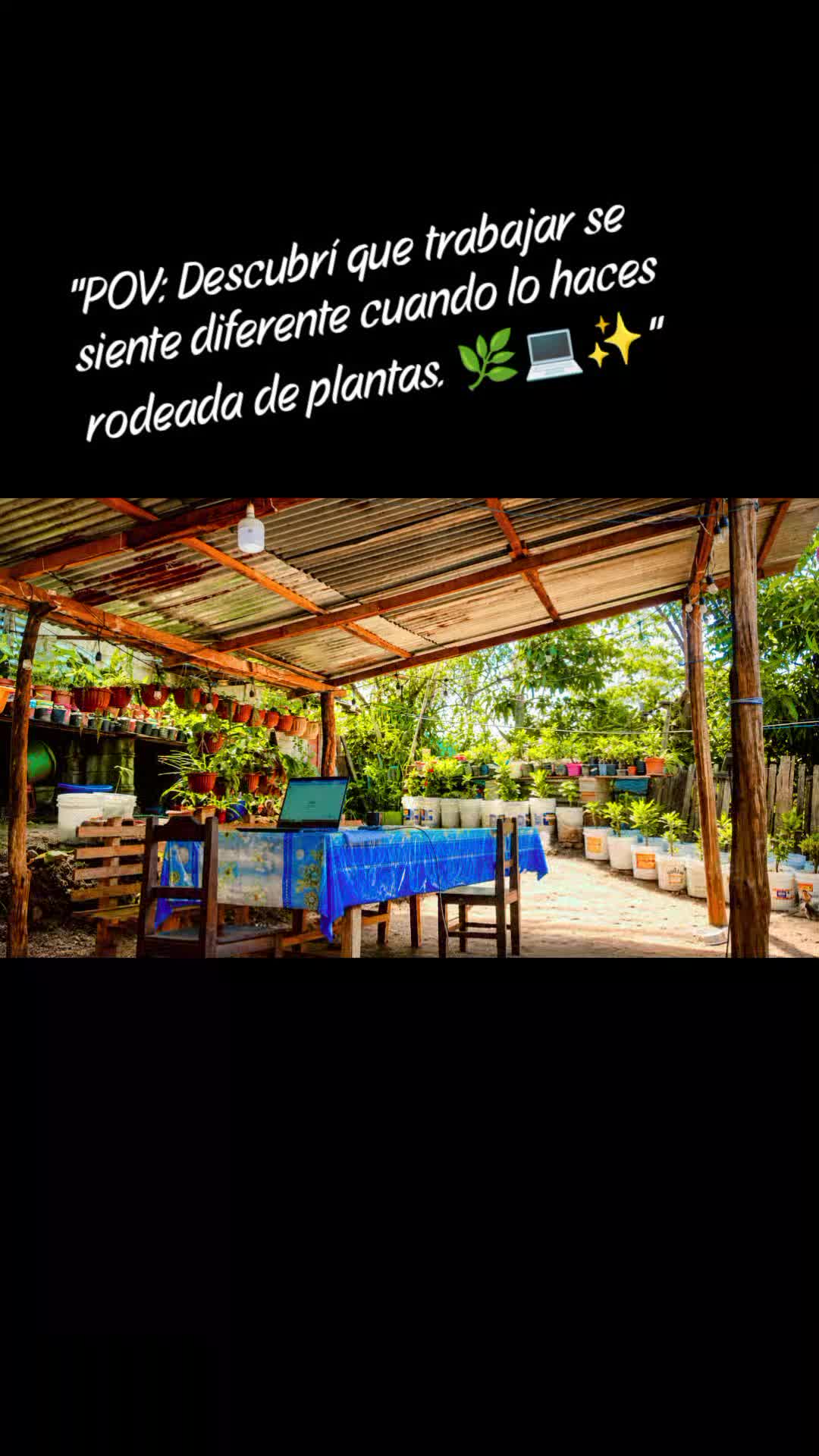 @vane