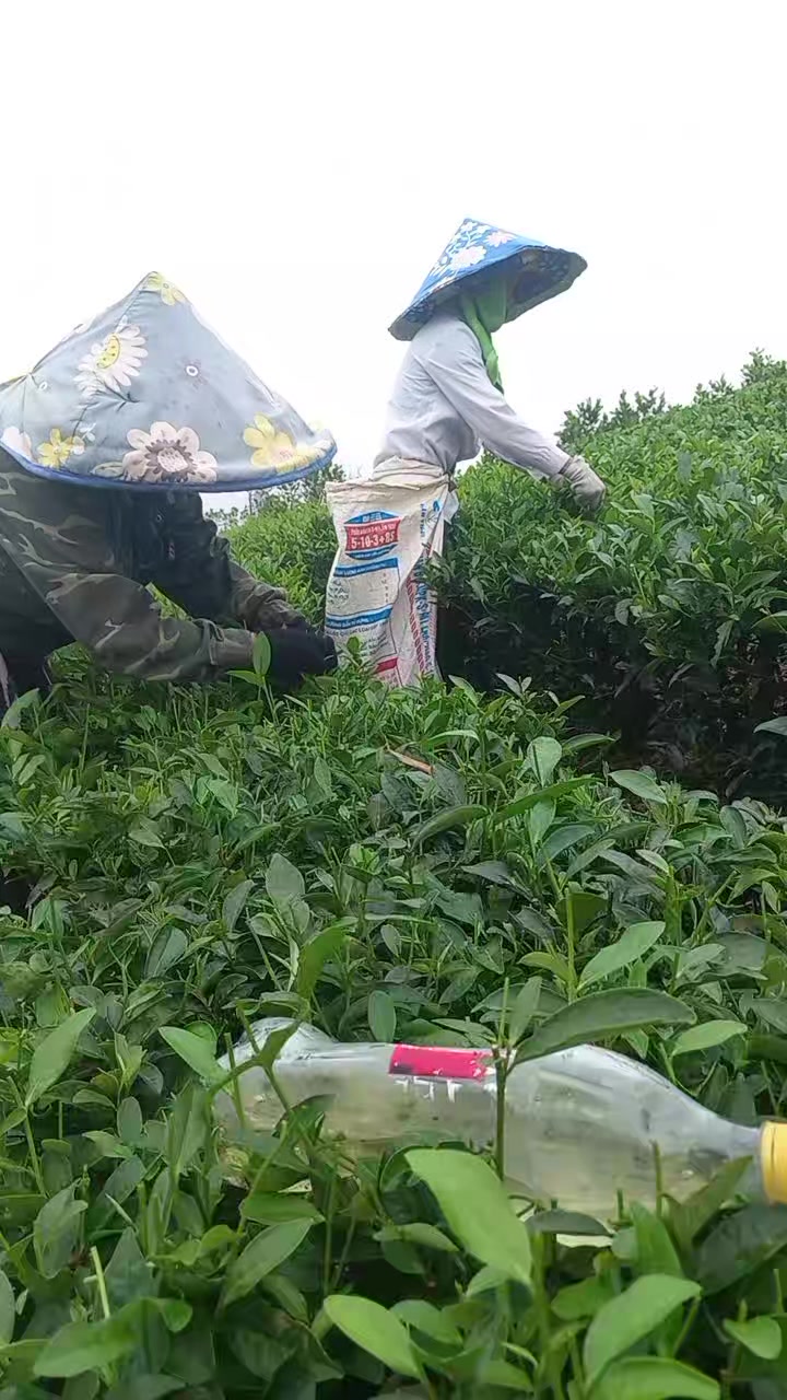 @Đ&ocirc;ng y VŨ VĂN D&Acirc;N