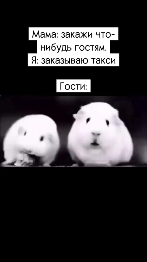 @titopik