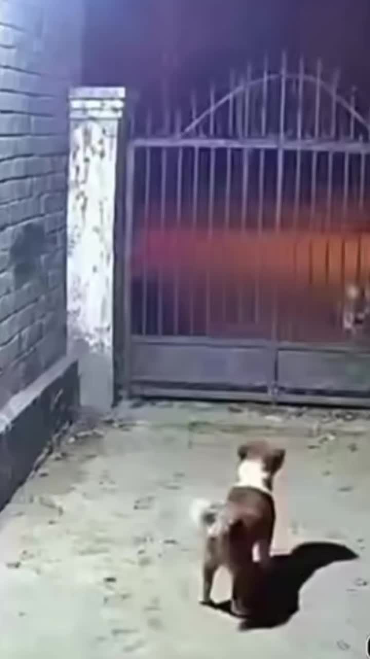 @jhon mario Z&uacute;&ntilde;iga