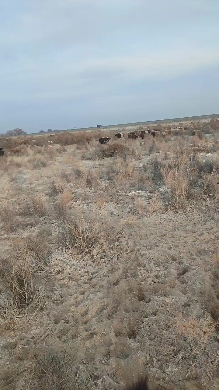 @Бекзат Багдатулы